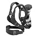 Infantino Front 2 Back Rider Baby Carrier in Black and Grey