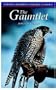 Gauntlet (Oxford Childrens Modern Classi)