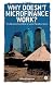 Why Doesn't Microfinance Work?: The Fragile Illusion of Local Neoliberalism (New Economics)