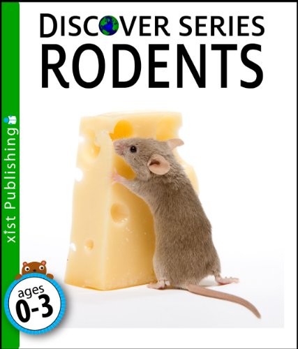 Rodents (Discover Series)