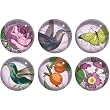 Meadow Bird Fringe Studio Set of 6 Decorative Glass Round Magnets