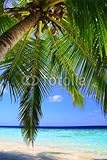 IMAGE OF Wallmonkeys Peel and Stick Wall Decals - Tropical Paradise at Maldives - 48