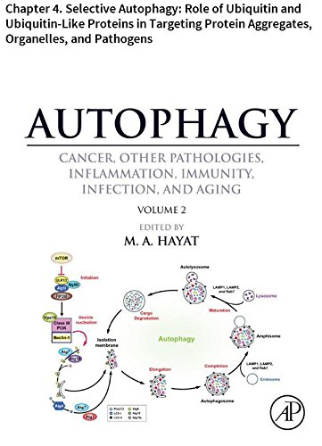 Autophagy: Chapter 4. Selective Autophagy: Role of Ubiquitin and Ubiquitin-Like Proteins in Targeting Protein Aggregates, Organelles, and Pathogens