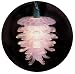 Set Of 10 Frosted Pine Cone Everglow Christmas Lights With Green Wire