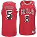 Youth Chicago Bulls #5 Carlos Boozer Revolution 30 Swingman Road Jersey