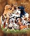 Dog Pile Queen Size Plush Raschel Signature Blanket by Gardner 79x95