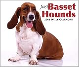 Basset Hounds Just Box 2008