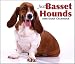 Basset Hounds Just Box 2008