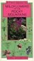 A Field Guide to Wildflowers of the Rocky Mountains (Natural History Guides)