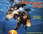 Underwater Dogs Calendar 2013