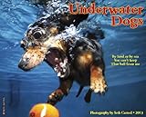 Underwater Dogs 2013 Wall Calendar