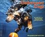 Underwater Dogs Calendar 2013