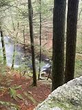 Forest of Eastern Hemlock Trees in East Haddam, Connecticut, USA Photographic Poster Print by Jerry & Marcy Monkman, 18x24