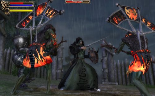 Two Worlds Collector's Edition image