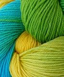 Lorna's Laces Sock Yarn in Daffodil (204)