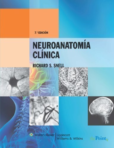 Neuroanatomia Clinica (Point (Lippincott Williams & Wilkins)) (Spanish Edition) 7th (seventh) Edition Neuroanatomia Clinica (Point (Lippincott Williams & Wilkins)) (Spanish Edition) 7th (seventh) Edition