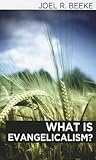 What is evangelicalism?