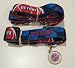 Detroit Pistons Pet Accessories Set - Medium (6' Leash, Collar, and ID Tag)