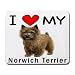I Love My Norfolk Terrier Mouse Pad