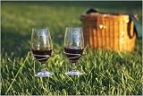 Picnic Plus Stainless Steel Wine Glass Holders