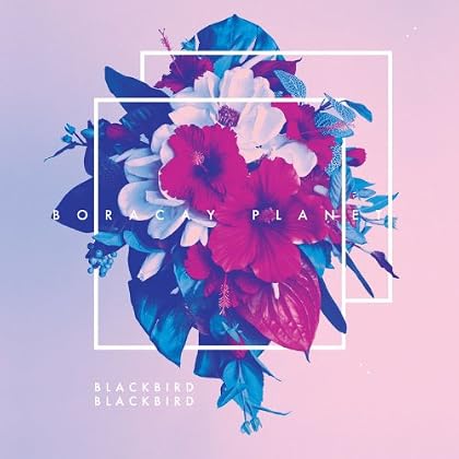 Blackbird Blackbird