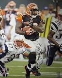 Rudi Johnson Autographed/Hand Signed Cincinnati Bengals 16x20 Photo