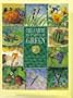 The Earth Is Painted Green: A Garden of Poems About Our Planet