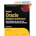 Expert Oracle Database Architecture: Oracle Database Programming 9i, 10g, and 11g Techniques and Solutions 2nd Edition