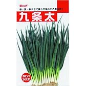 京都特産の葉ねぎ用種!九条太(一般種)　数量:15ml