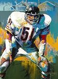 Dick Butkus Chicago Bears -Hall of Fame- 40x30 Autographed Giclee
