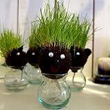 hair LABO（ヘアーラボ）アニマル・キャット[プレゼントに人気・動物の頭から芝が生える！]