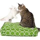 Molly Meow Bird On A Wire Cat Duvet - Red Polka Dots With Bird - Round Molly Meow Bird On A Wire Cat Duvet - Red Polka Dots With Bird - Round