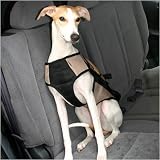 Pet Safety Harness - Red, Small