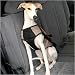 Pet Safety Harness - Silver, Medium