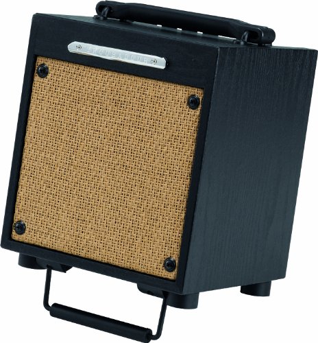Ibanez T10 Troubadour Akustikverst&auml;rker 10 Watt Preisvergleich