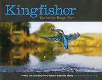 Kingfisher: Tales from the Halcyon River
