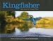 Kingfisher: Tales from the Halcyon River