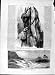 1874 Switzerland Necropolis Abydos Egypt Libyan Desert