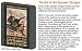 Magpul Dynamic the Art of the Dynamic Shotgun, 3-disc DVD Set
