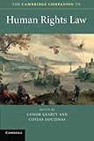 The Cambridge companion to human rights law