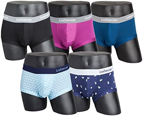 Lashevan Men's Functional Boxer Brief Solid & Dynamic 3D Separated Underwear Tensel Fiber Drawers Set 5-Pack (SV5901) XL Size