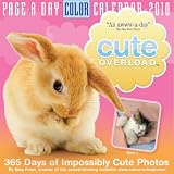 Cute Overload Page-A-Day Calendar 2010