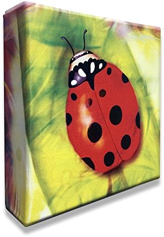 Quiq Art Easy Fold Canvas Gallery Wrap 6 x 6 x 1.5 Pack of 10 Canvases