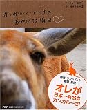 カンガルー・ハッチのおやじな毎日 画像