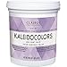 Clairol Professional Kaleidocolors Violet Tub