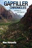 Gapfiller Chronicles: Memories of Daze Gone Bye