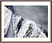 Denali National Park, Alaska, Alpine Ridge - Stunning - approx. 24"x28" Framed and Matted - 1 7/8" Walnut Toned Wood Frame - Photographic Print by Carol M. Highsmith
