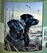 Northwest Enterprises Black Labs Royal Plush Raschel Throw Blanket 50