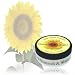 Jane Carter Nourish and Shine Sale!