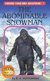 The Abominable Snowman